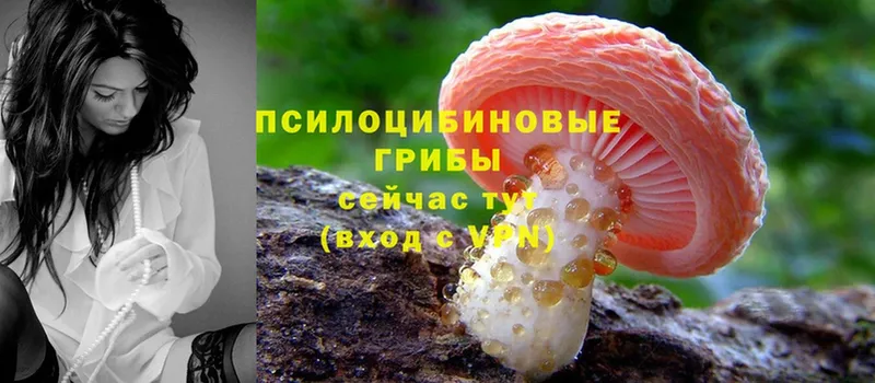 мега ONION  Пермь  Галлюциногенные грибы Cubensis 